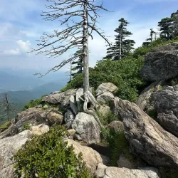 Jirisan National Park - Namwon