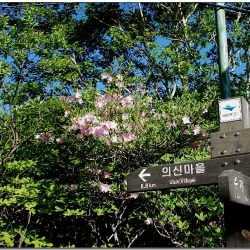 Jirisan National Park - Namwon