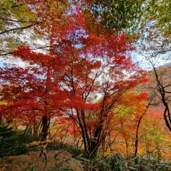 Jirisan National Park - Namwon