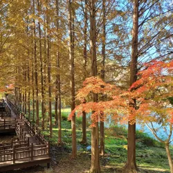 Cheongnamdae Presidential Villa - Nonsan