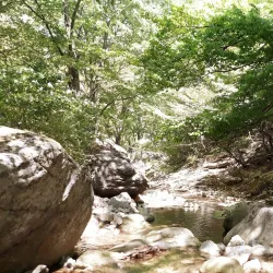 Gyeryongsan National Park - Nonsan
