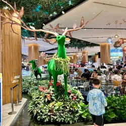 Nonsan Strawberry Festival - Nonsan