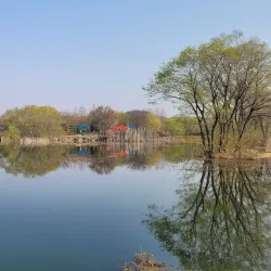 Tapjeongho Lake - Nonsan