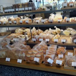 Pangyo Cafe Street - Pangyo