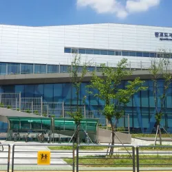 Pangyo Library - Pangyo