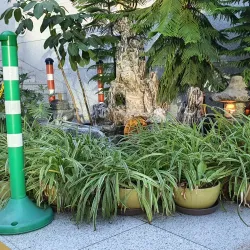 Pangyo Library - Pangyo