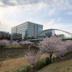 Pangyo Techno Valley - Pangyo