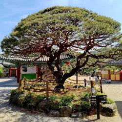 Bogyeongsa Temple - Pohang