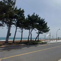 Cheongha Beach - Pohang