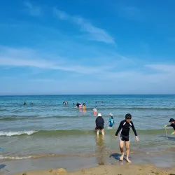 Cheongha Beach - Pohang
