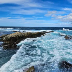 Homigot Sunrise Square - Pohang