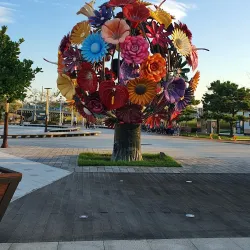 Pohang Canal - Pohang