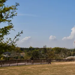 Anseong Farmland - Pyeongtaek
