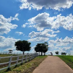 Anseong Farmland - Pyeongtaek