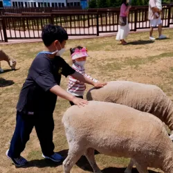 Anseong Farmland - Pyeongtaek