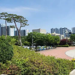 Pyeongtaek City Hall Plaza - Pyeongtaek