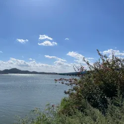 Pyeongtaek Lake - Pyeongtaek