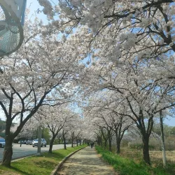 Pyeongtaek Lake - Pyeongtaek