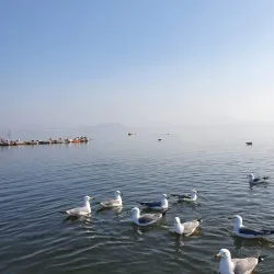 Pyeongtaek Lake - Pyeongtaek