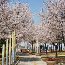 Songtan Peace Park - Pyeongtaek