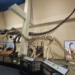 Goseong Dinosaur Museum - Sacheon