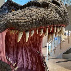 Goseong Dinosaur Museum - Sacheon