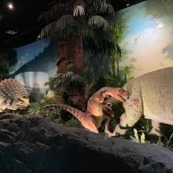 Goseong Dinosaur Museum - Sacheon