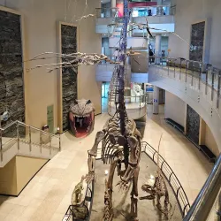 Goseong Dinosaur Museum - Sacheon