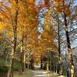 Sacheon Arboretum - Sacheon
