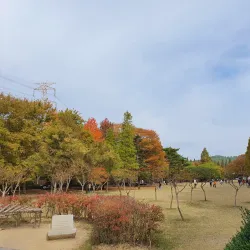 Sacheon Arboretum - Sacheon