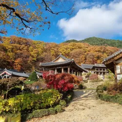 Buseoksa Temple - Sangju