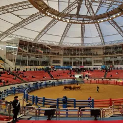 Cheongdo Bullfighting Stadium - Sangju