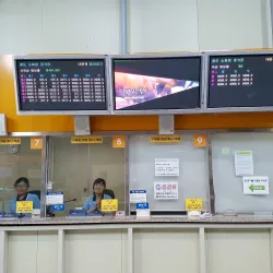 Cheongdo Bullfighting Stadium - Sangju