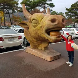 Cheongdo Bullfighting Stadium - Sangju