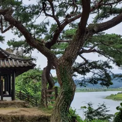 Gyeongcheon River - Sangju