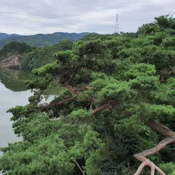 Gyeongcheon River - Sangju