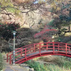 Sangju Arboretum - Sangju