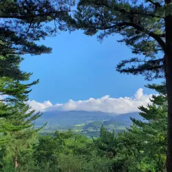 Sangju Arboretum - Sangju