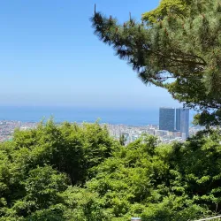 Sangju Arboretum - Sangju
