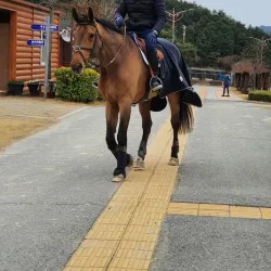 Sangju City Park - Sangju