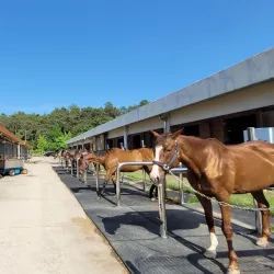 Sangju City Park - Sangju