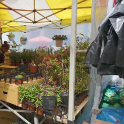 Sangju Traditional Market - Sangju