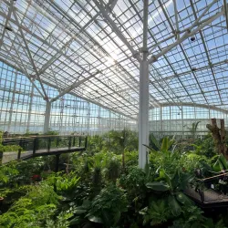 National Sejong Arboretum - Sejong City