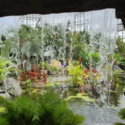 National Sejong Arboretum - Sejong City