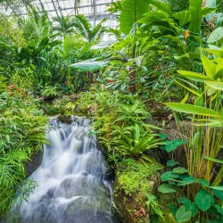 National Sejong Arboretum - Sejong City