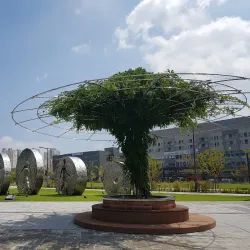 Sejong City Hall Plaza - Sejong City