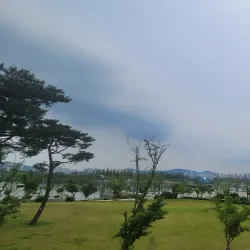 Sejong Convention Center - Sejong City