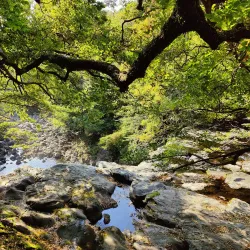 Cheonjeyeon Waterfalls - Seogwipo