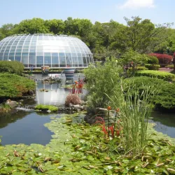 Jeju Glass Castle - Seogwipo