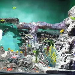 Jeju Glass Castle - Seogwipo